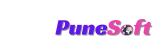 Punesoft Consulting Services